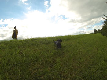 Trees on grassy field against cloudy sky