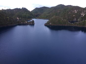 Scenic view of river in forest against sky