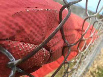 Close-up of chainlink fence