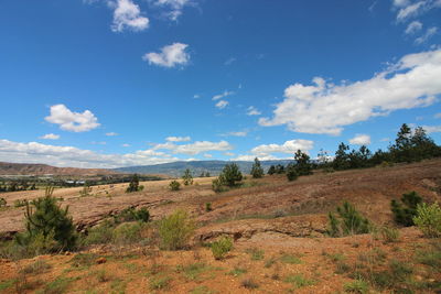 Scenic view of grassy field and mountains against sky