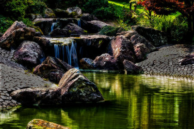 Scenic view of lake in forest