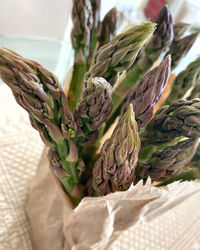 Close-up of plant in basket