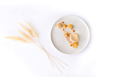 High angle view of food on white background