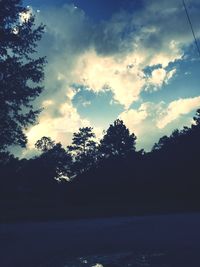 Silhouette trees in forest against sky at sunset