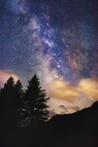 Low angle view of silhouette trees against sky at night