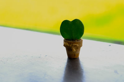 Close-up of yellow pencils on table