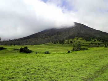 Scenic view of landscape against sky