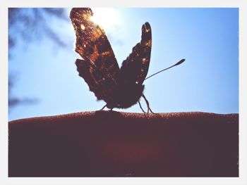 View of tree against sky