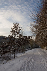 Snow covered road by trees against sky