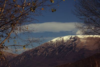 Bare trees on mountains against sky