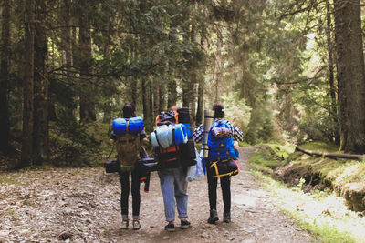 Rear view of people walking in forest