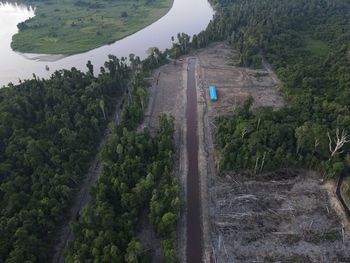 High angle view of river amidst trees