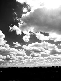 Low angle view of trees against sky