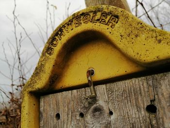 Close-up of rusty metal on wood