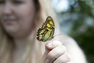 Close-up of butterfly perching on woman hand