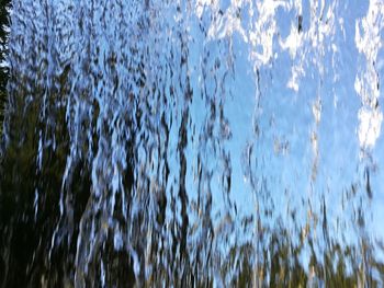 Low angle view of trees against sky