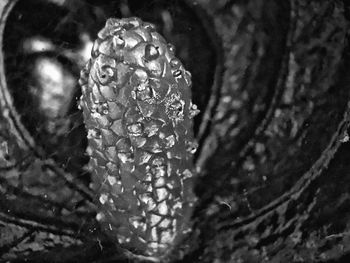 Close-up of raindrops on glass