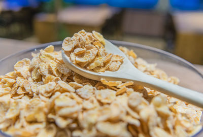 Close-up of breakfast on plate