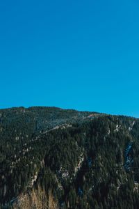 Scenic view of landscape against clear blue sky