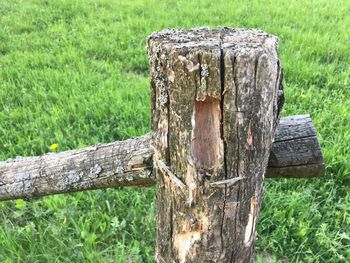 Old wooden structure on grassy field