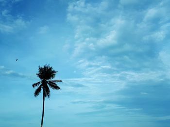Low angle view of coconut palm tree against sky