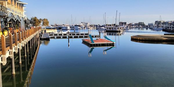 Sailboats moored in harbor