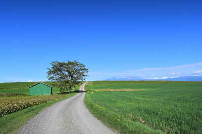 Road amidst field against sky