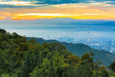 Scenic view of forest against sky at sunset