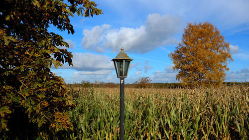 Street light on field against sky