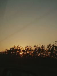 Silhouette trees against clear sky during sunset