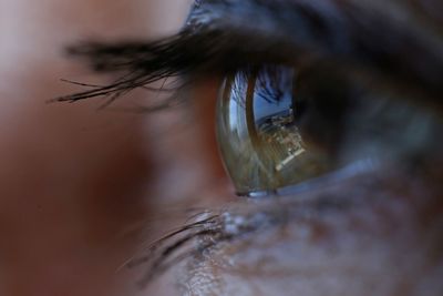 Close-up of woman eye