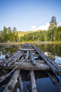 Wooden bridge over water in forest against sky