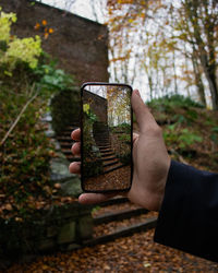Midsection of person holding mobile phone in forest