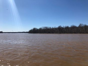 Scenic view of trees against clear blue sky