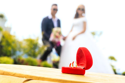 Rear view of couple on table against blurred background