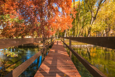 Footpath amidst trees by lake during autumn