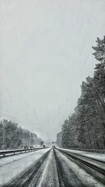 View of trees against sky