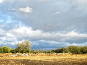 Scenic view of field against sky