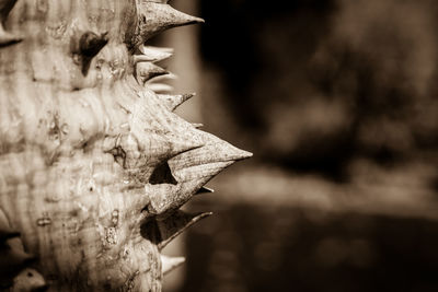 Close-up of sculpture