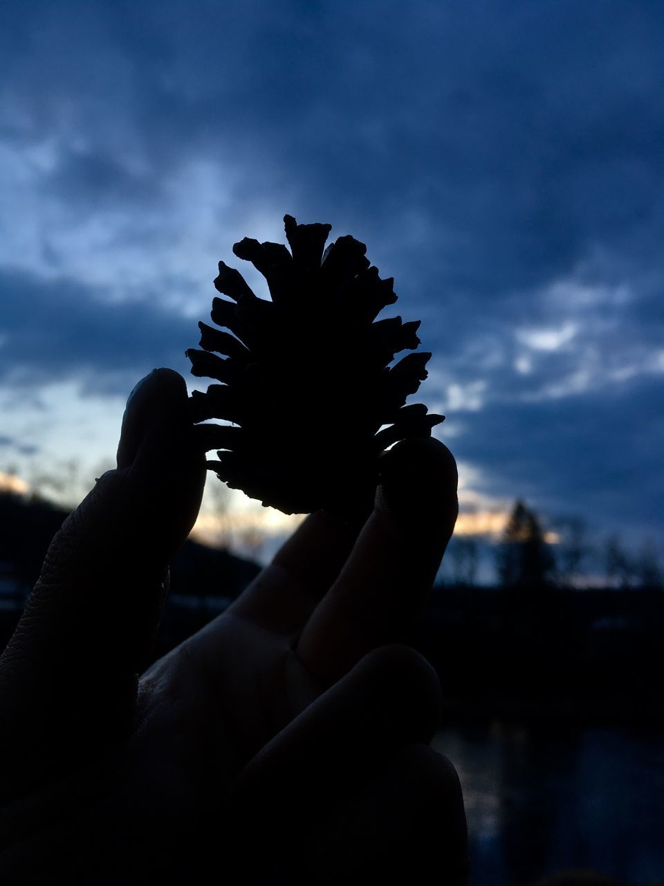 sky, hand, human hand, cloud - sky, holding, real people, human body part, one person, nature, body part, personal perspective, lifestyles, focus on foreground, finger, close-up, human finger, sunset, leisure activity, beauty in nature, unrecognizable person, outdoors, flower