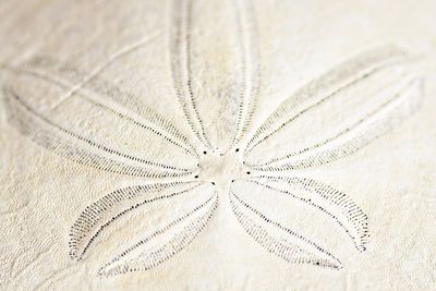 Full frame shot of pattern