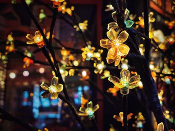 Low angle view of illuminated christmas lights