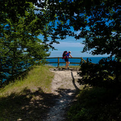 Female wanderer overlooking moens klint