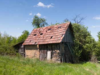 An old dilapidated abandoned cattle barn overgrown with thorns in the village