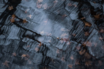 Full frame shot of rock in lake