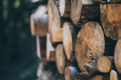 Close-up of logs