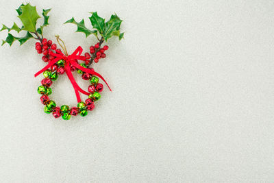 High angle view of plant against white background