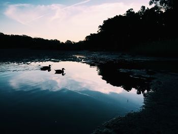 Reflection of trees in calm lake