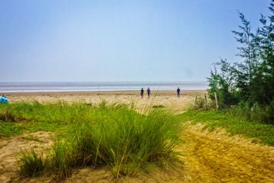 Scenic view of beach against clear sky