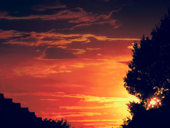Low angle view of silhouette trees against orange sky
